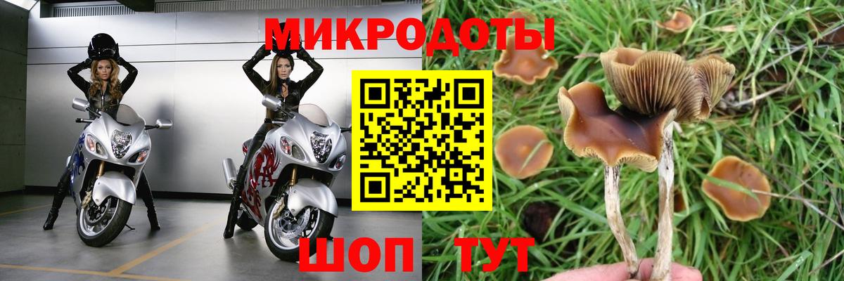 Псилоцибиновые грибы прущие грибы  Вход с VPN  Котлас 