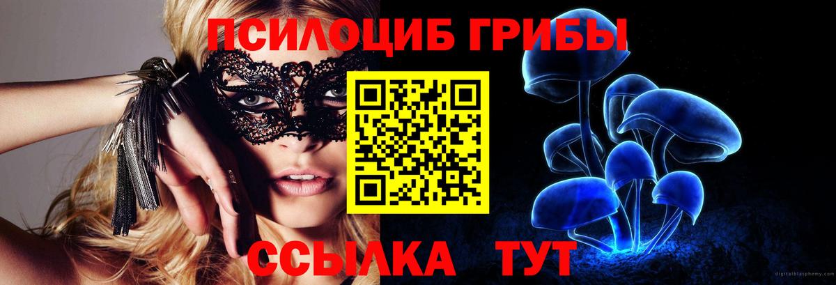 Галлюциногенные грибы прущие грибы Котлас