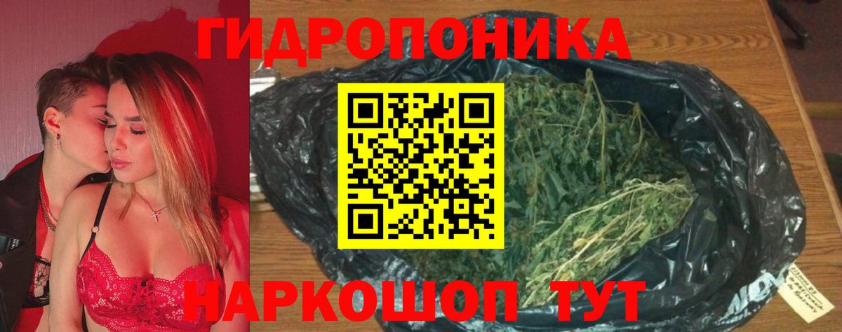 Котлас  МАРИХУАНА семена  МАРИХУАНА Amnesia  Вход с VPN  Конопля LSD WEED 